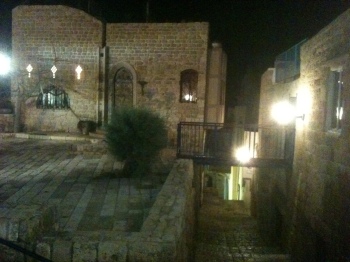 Old Jaffa, which dates back to a history of 4000 years and where alrady the Egyptian empire stationed a garrison.